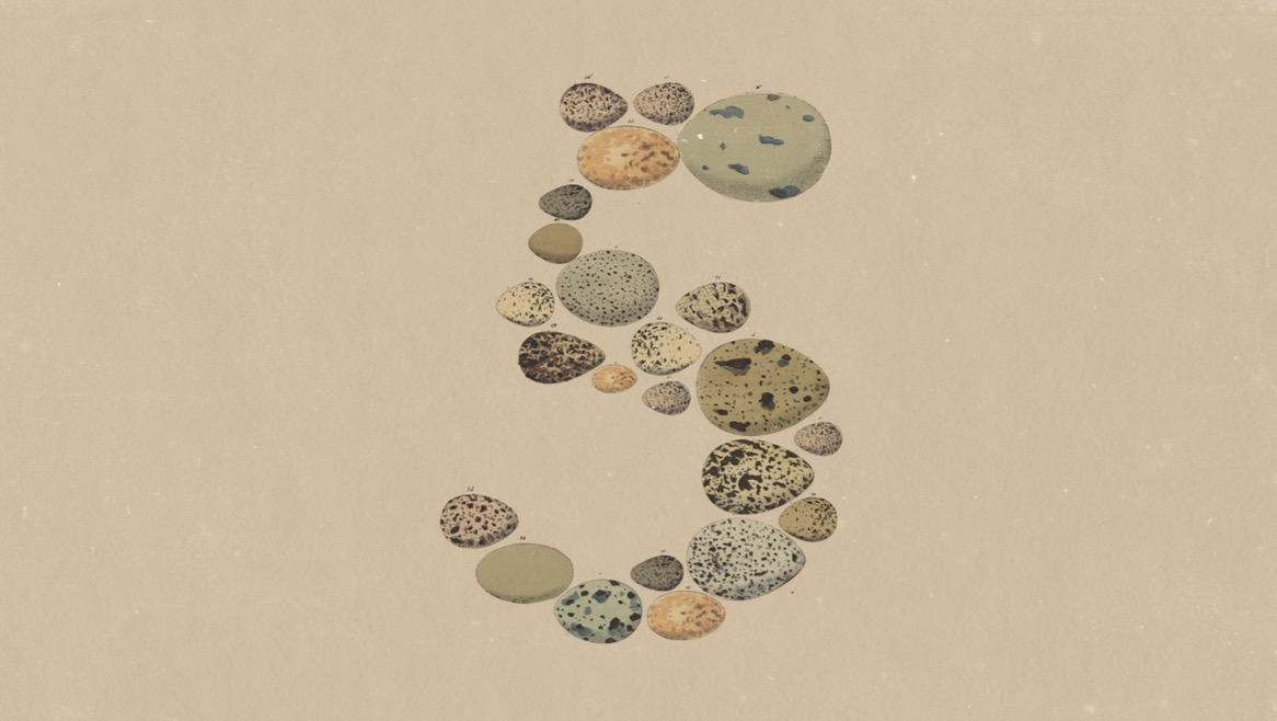 Anthropic releases Claude Opus 5